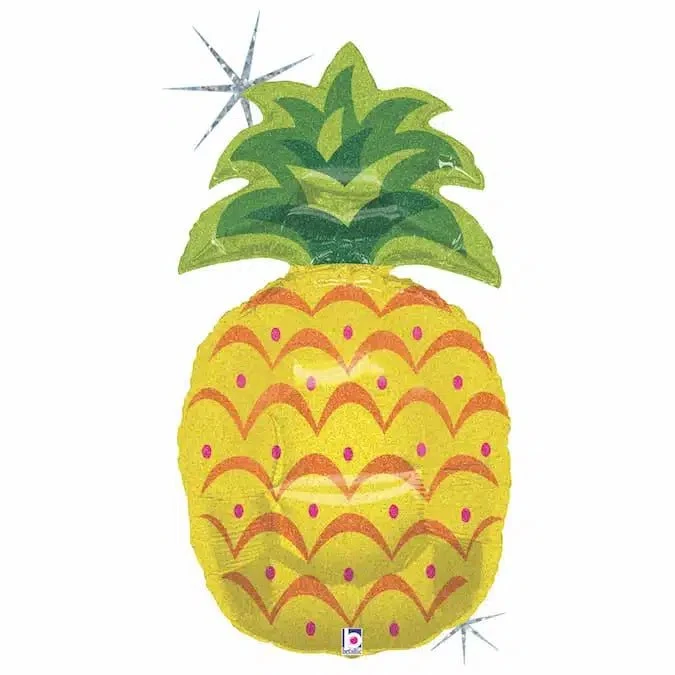 Ananas – Bild 1
