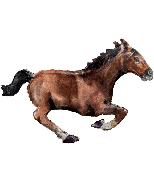 Pferd – Bild 1