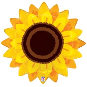 Sonnenblume