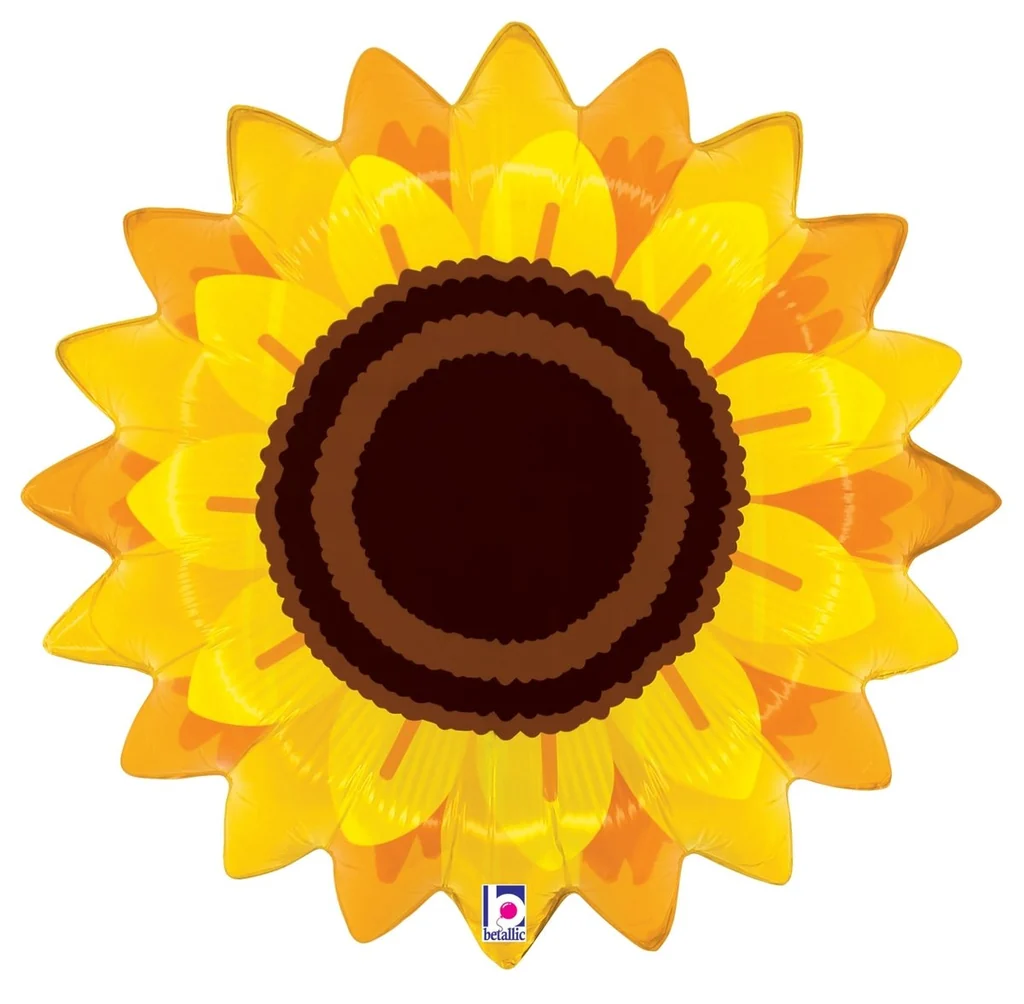Sonnenblume – Bild 1