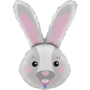 Hase