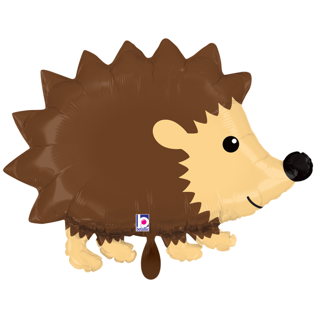 Igel – Bild 1