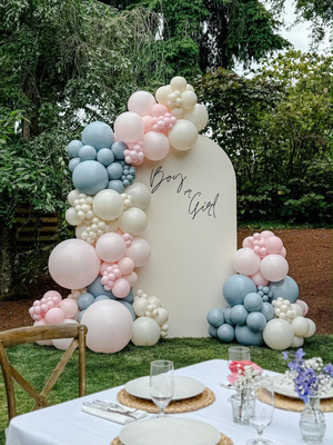 Ballondekoration für ein Gender Reveal