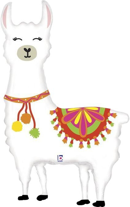 Lama – Bild 3